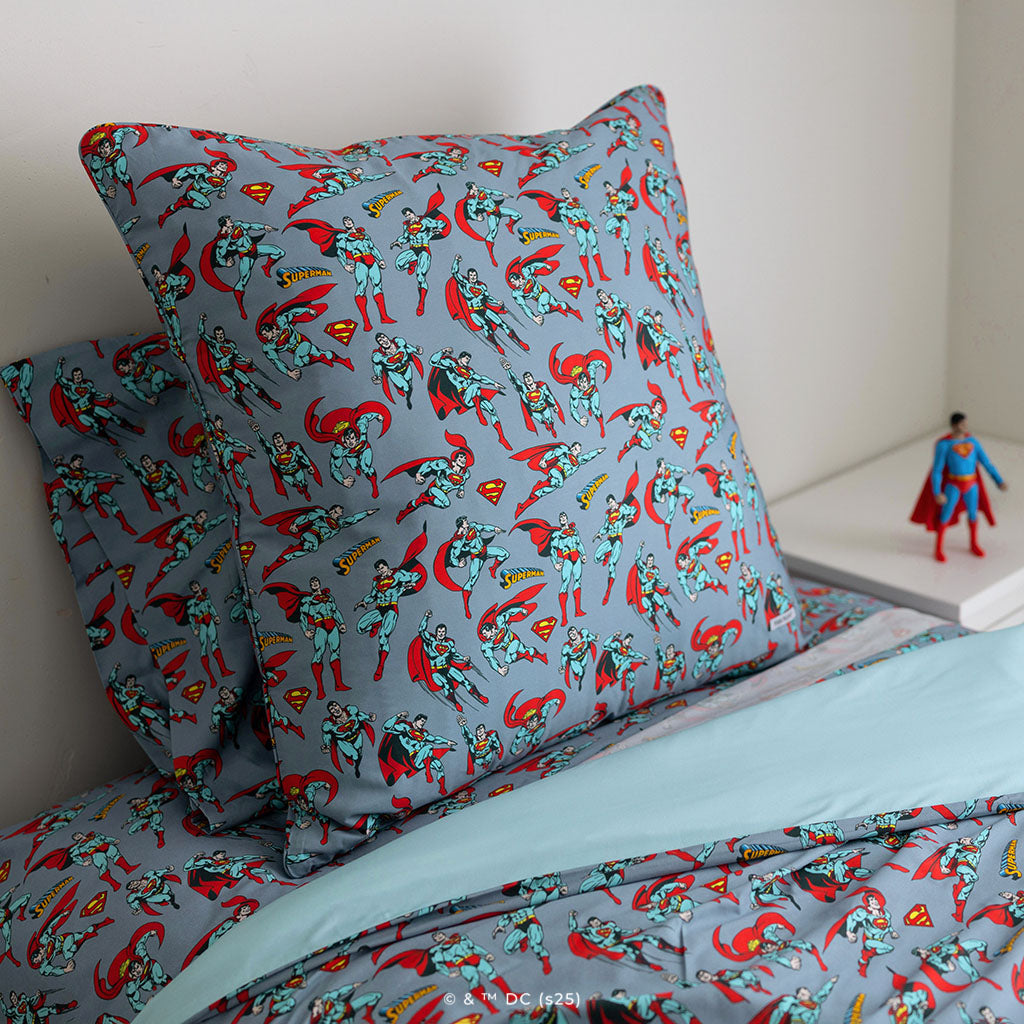Superman Euro Sham